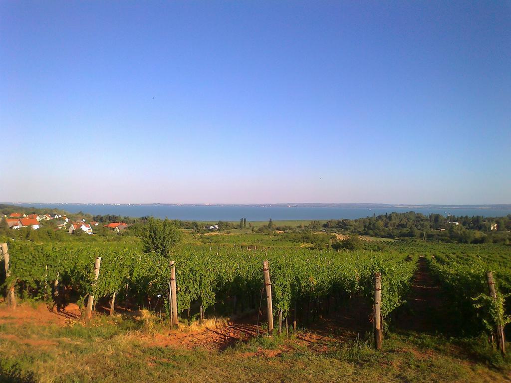 Country House Balaton بالوزناك المظهر الخارجي الصورة